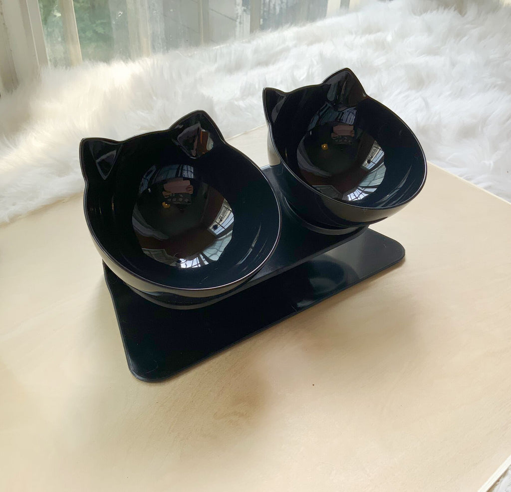 Elevated Double Cat Bowl – Anti-Vomit Tilted Pet Feeder for Cats & Small Dogs