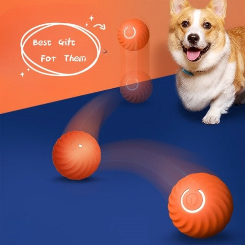 Pelota inteligente para mascotas: entrenamiento, inteligencia, actividad física