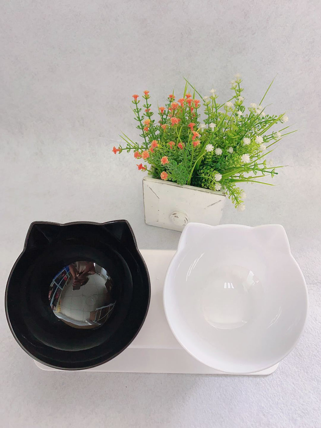 Elevated Double Cat Bowl – Anti-Vomit Tilted Pet Feeder for Cats & Small Dogs