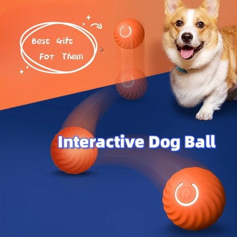 Pelota inteligente para mascotas: entrenamiento, inteligencia, actividad física